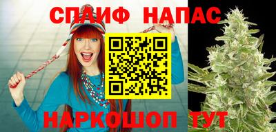 не бодяженный Гатчина