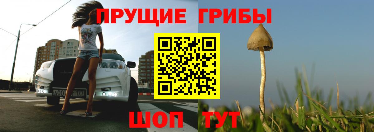 Псилоцибиновые грибы ЛСД Мценск